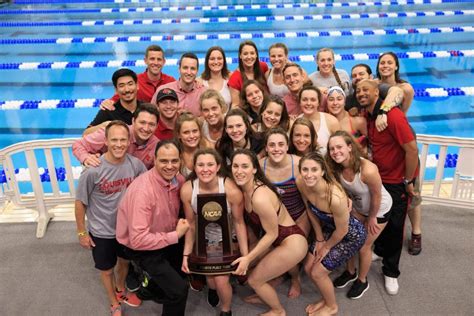 women s swimming and diving makes history at ncaas comerford shines the louisville cardinal