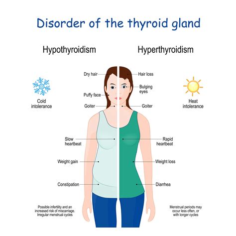 Autoimmune Issues To Hypothyroidism Hyperthyroidism Optimum Health