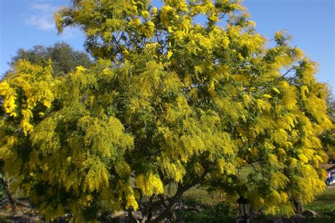 This may include any duis, traffic tickets and outstanding warrants. Na Set Centes Blog / Das Blog von Agroturismo Na Set ...