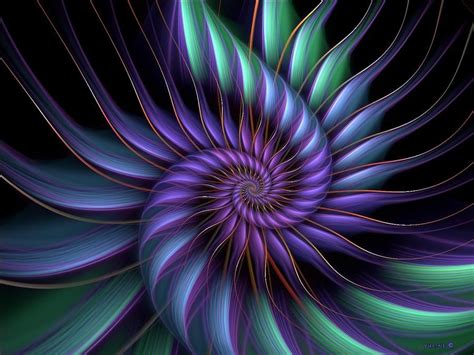 Spiral Feelings By Yuline On Deviantart In 2020 With Images