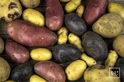 Les différentes pommes de terre et leur usage Ingrédient