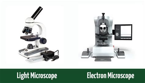 What Is The Difference Between A Compound Light Microscope And Transmission Electron