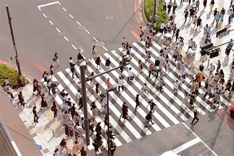 People Walking On Pedestrian Lane During Day Time Hd Wallpaper Peakpx