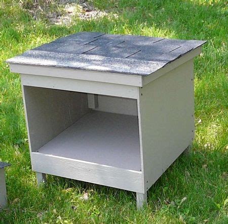Avoid feeding cats or other wild animals on your property. Feralvilla Large Feeding Station (discontinued) (With ...