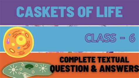 Class 6 Bs Caskets Of Life Let Us Assess And Question Answers