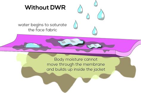 Durable Water Repellent DWR Care Dry Guy Waterproofing Blog