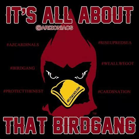 Arizona Cardinals Its All About The Bird Gang Cardinals Football