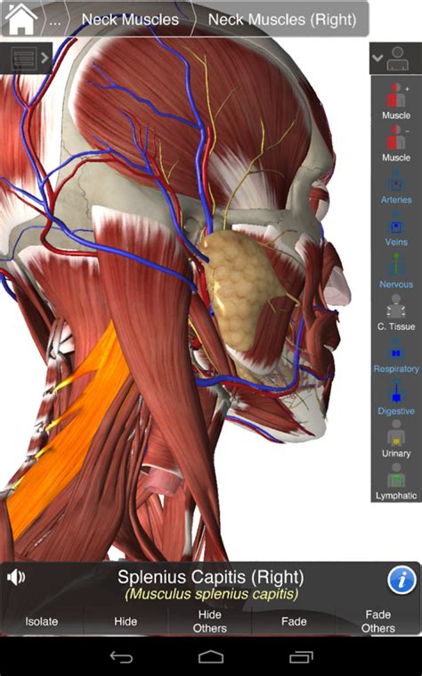 Essential Anatomy 3 Per Android Download