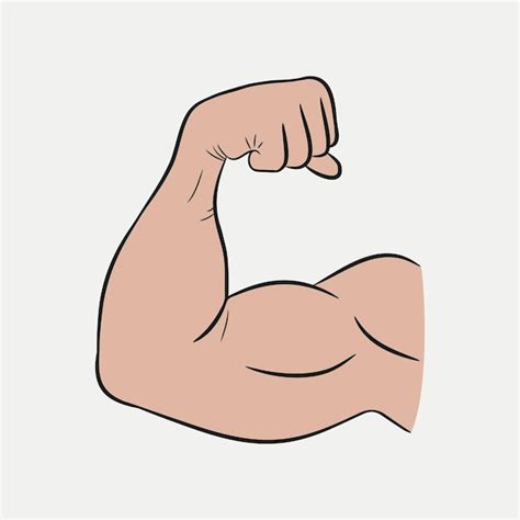 Bíceps De Manos Brazo Fuerte Músculos Entrenados Ilustración