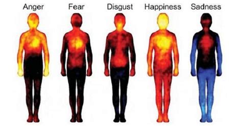 these heat maps show exactly how different emotions affect your body