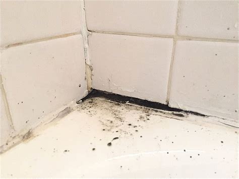 It's probably not what you think. Cleaning Away the Black Mold in Bathroom and Keep it From ...