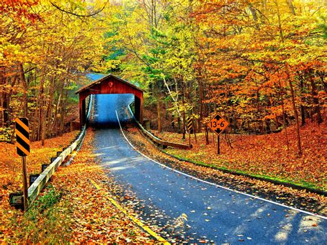 Wallpaper Highway Cambron Covered Bridge Autumn Nature Desktop