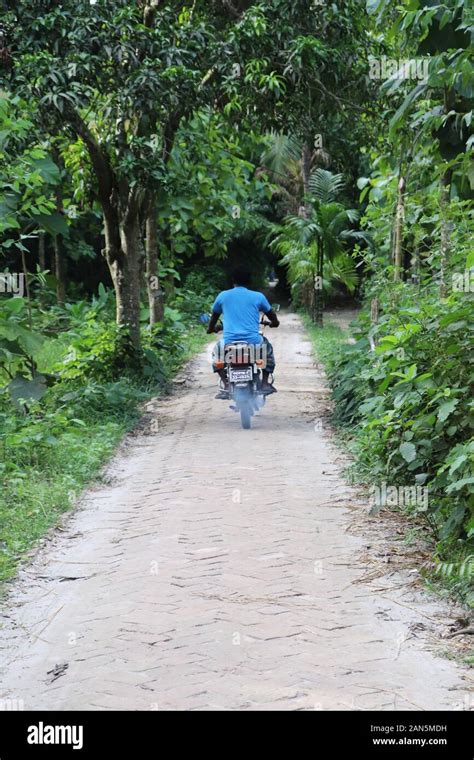 Village Road And Biker Beautiful Village Road In Bangladesh Stock