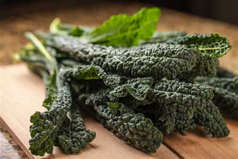 Maybe you would like to learn more about one of these? The Different Types of Kale Varieties - Garden Lovers Club