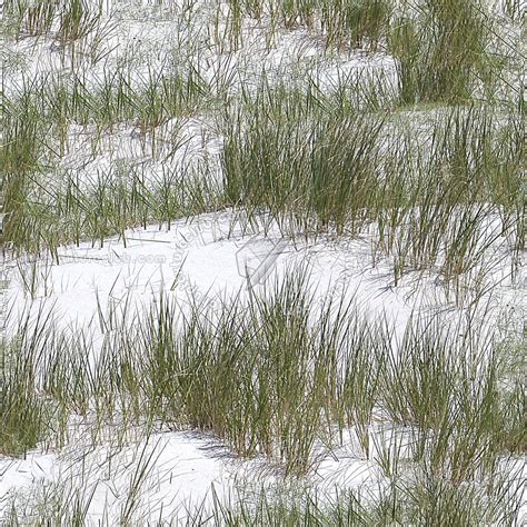 Snow With Grass Texture Seamless 12794