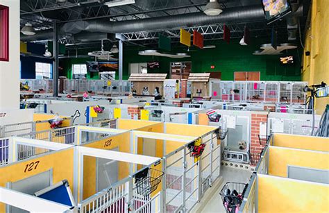 The resolution of image is 414x680 and classified to american revolution, american flag star, american ninja warrior logo. Pet Resort Facility Amenities | All American Pet Resorts ...