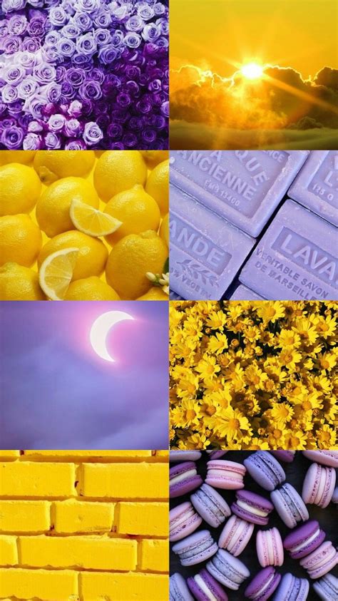 We did not find results for: Aesthetic Wallpapers — Purple and Yellow Aesthetic 💜💛 ...