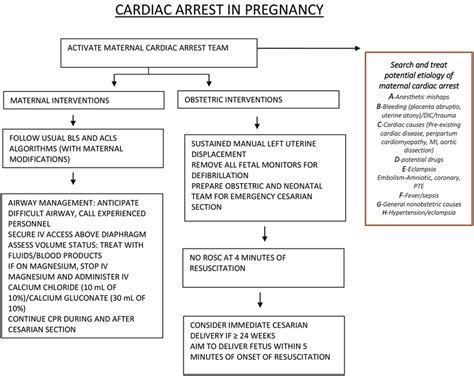 Modifications For Resuscitation Of Cardiac Arrest In Pregnancy Acls