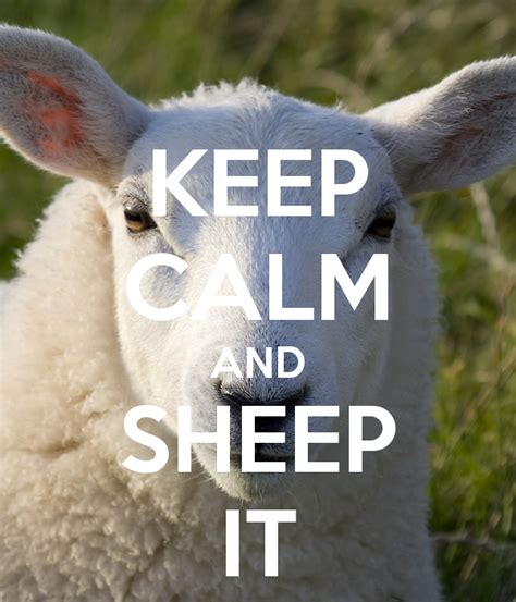 Keep Calm And Sheep It By Themagnificentmorado On Deviantart