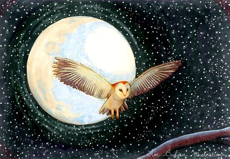 Moon Owl By Tim Budgen Watercolor Paintings Of Animals Animals