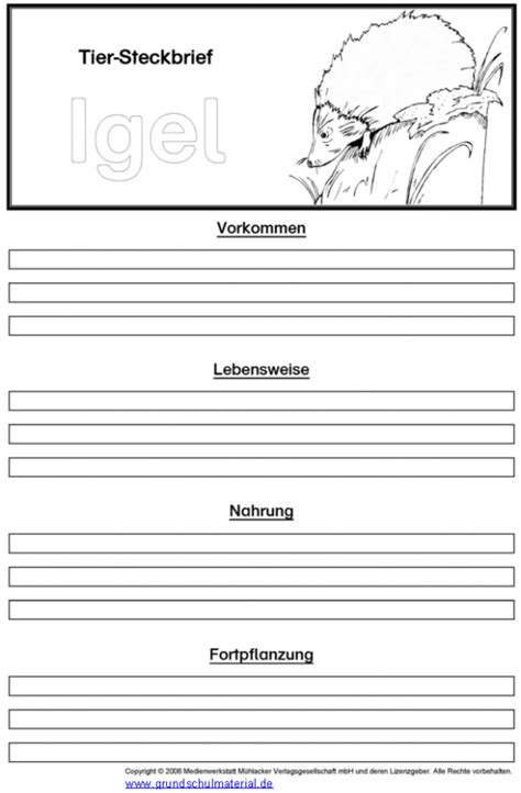 Tier zielscheiben zum ausdrucken : Vorlage Tiersteckbrief: Igel - Medienwerkstatt-Wissen © 2006-2017 Medienwerkstatt