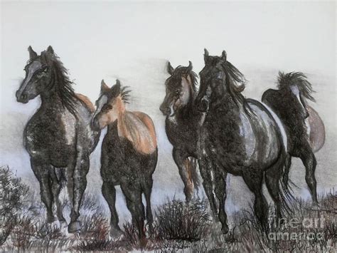 Wild Horses Drawing By Robert Ray Fine Art America