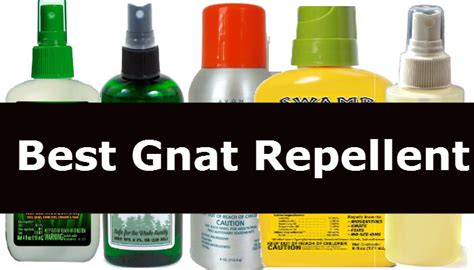 To treat bites immediately, fresh plantain can be chewed (to break down the plant), then held over the affected area for relief. Gnat Repellent: 5 Best gnat repellent spray products reviewed