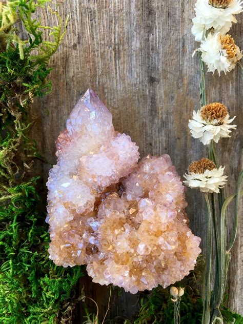 Find christmas cactus in canada | visit kijiji classifieds to buy, sell, or trade almost anything! Amethyst Spirit Quartz 170 gm, South Africa, Ametrine ...