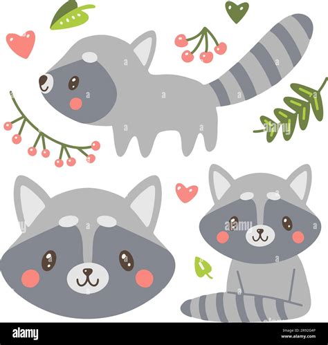 Cute Cartoon Raccoon Set Funny Raccoons Collection Cartoon Animal