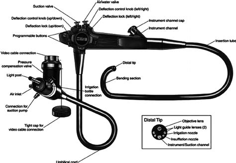 The Parts Of A Gastrovideo Endoscope Courtesy Of Karl Storz Co