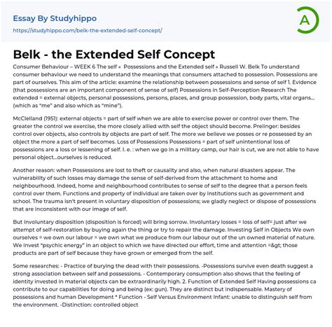 Belk The Extended Self Concept Essay Example