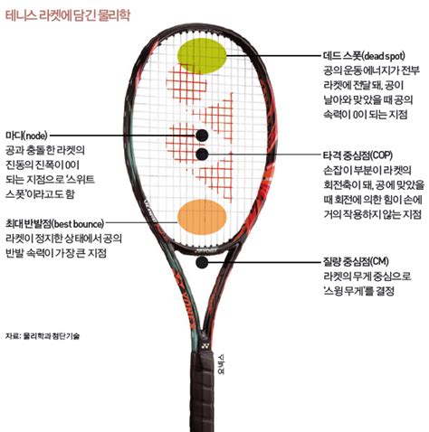 조코비치는 14일(한국 시간) 프랑스 파리의 스타드. 물리학으로 본 정현의 '테니스 신드롬' : 동아사이언스