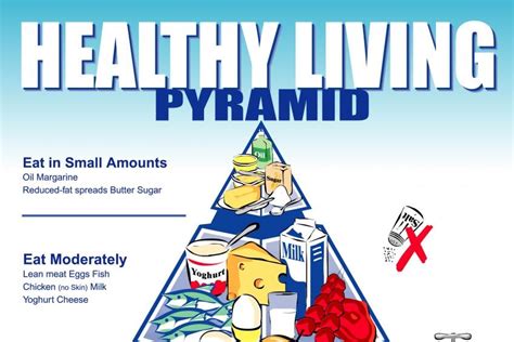 New Food Pyramid Released For Healthy Eating Abc Radio National