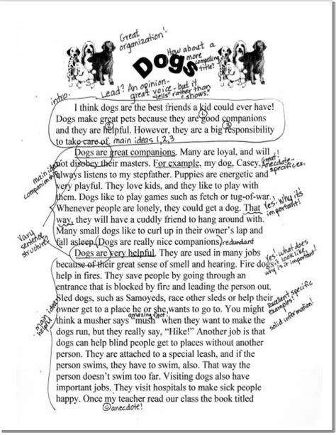 Dogs Expository Annotated Sample Expository Writing Lessons