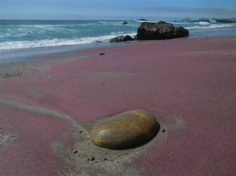 Typical new england beach sand differs in color from light and dark grey to medium tan based on its common mineralogy, but at plum walking along the beach they noticed numerous bands of purple in the sand and wondered what had caused them: Purple Sand Beach: Andrew Molera state park (California ...