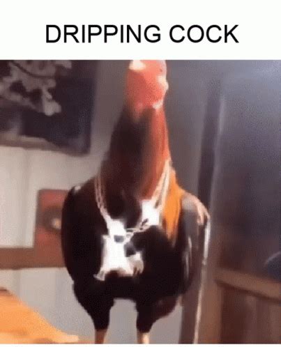 Cock Balls GIF Cock Balls Dripping Discover Share GIFs