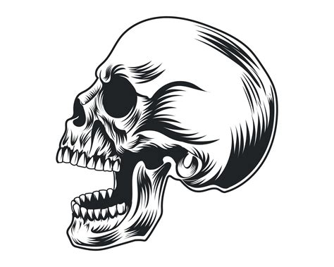 Vintage Human Skull Vector Illustration For T Shirt Logo And Others