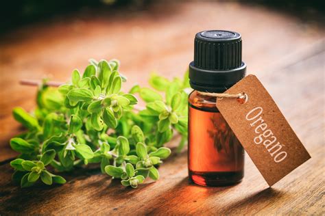 4 Benefits Of Oregano And Its Essential Oil Selfdecode Supplements