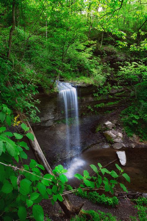 Fall Hollow Waterfall Natchez Trace Pinterest