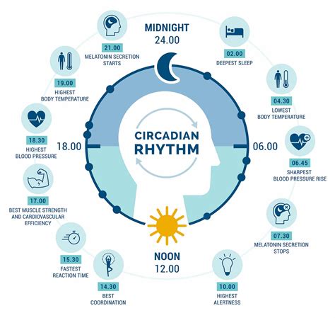 Does Your Circadian Rhythm Need Resetting Cnm College Of