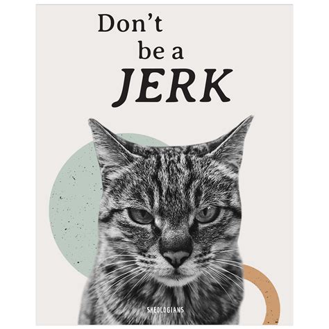 Don T Be A Jerk Poster Sheologians