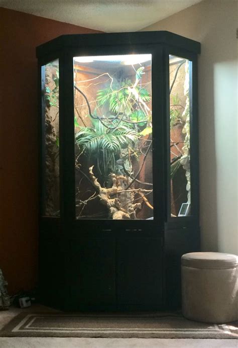 An effective chameleon cage setup will include the four necessary gradients and distinct levels. DIY chameleon reptile furniture cage that my father and I built for my office.. 79x52x42 ...