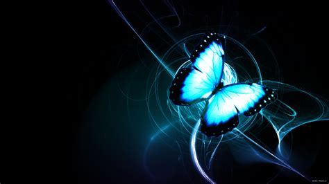 Butterfly Moon Wallpapers On Wallpaperdog