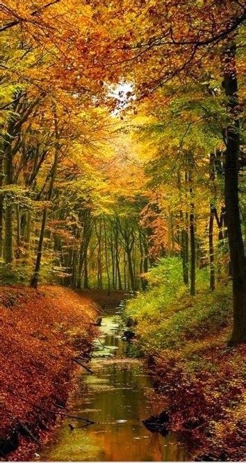 10 amazing autumn photographs - beautiful time of the year