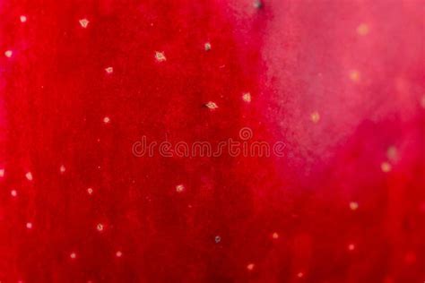 Red Apple Texture Stock Photo Image Of Freshness Closeup 168253832
