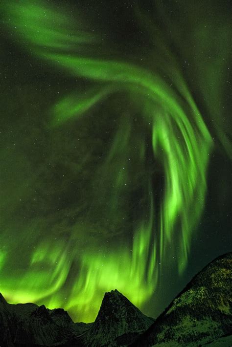 Senerii“aurora In Selfjorden By Garcia Foto On Flickr” Luz Del