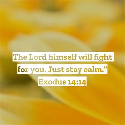 Exodus 14 14 New Living Translation Stay Calm Fight For You Lord
