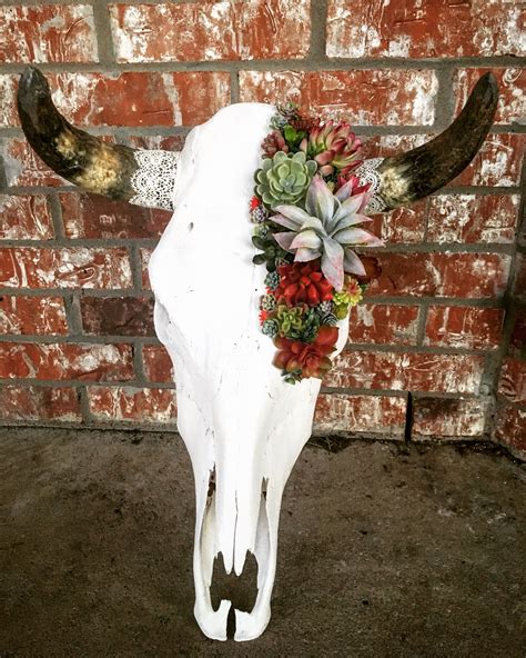 succulent cow skull with lace skullsbyashley instagram skullsbyashley on etsy deer skull