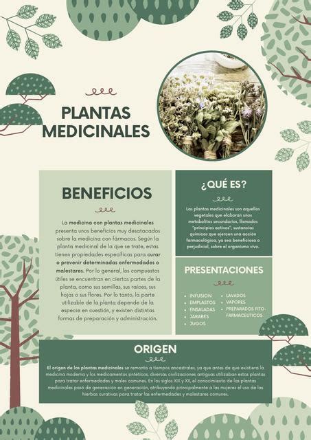 Plantas Medicinales ZONA DE CONFORT UDocz