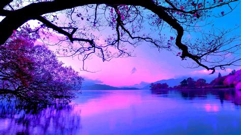Feel free to download, share. Beautiful Purple Sky And Trees With Reflection On Body Of ...